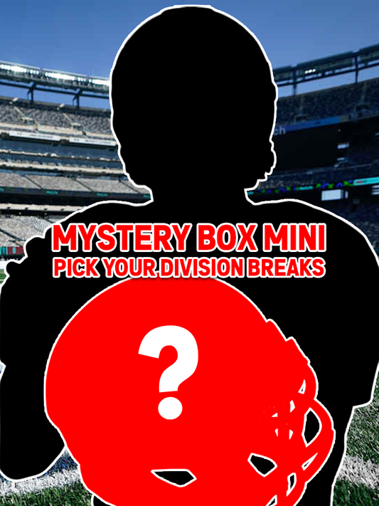 Pick Your Division Mystery Signed Mini Helmet Break - Round 10